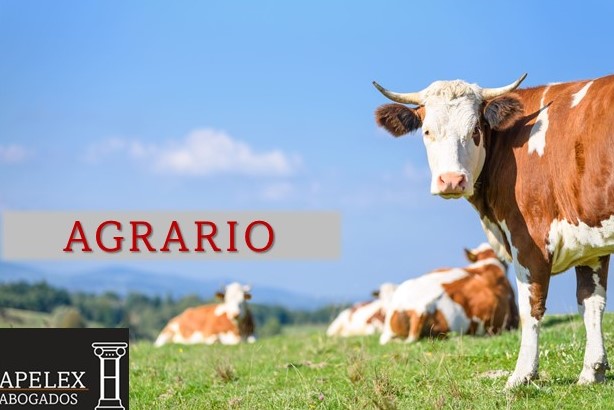 Derecho Agrario